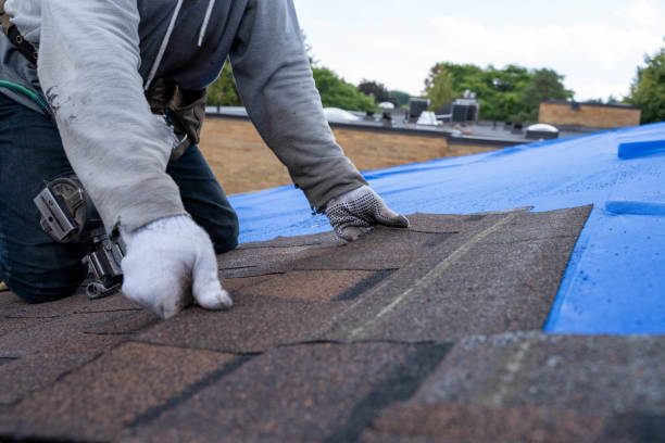 Roof Gutter Cleaning in El Lago, TX