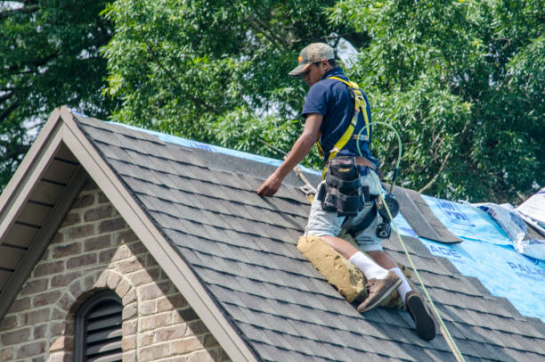 Best Gutter Installation and Roofing  in El Lago, TX